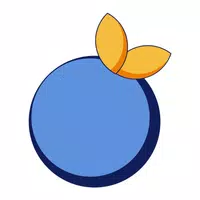 Blue Orange Companion APK