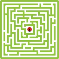 Maze King  APK