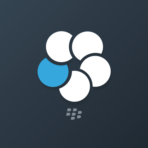 BlackBerry Work  APK