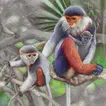 Nature APK