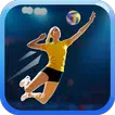 Fine Volleyball APK