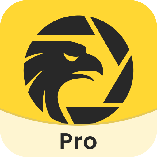 WikiFX-Broker Regulatory APP  APK