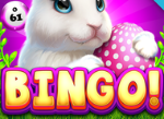 How to play and win Bingo News