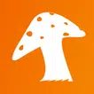 FungID APK