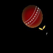 CricWay - Live Scores & Line  APK