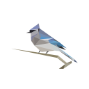 BirdNET  APK