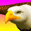 Eagle Ride APK