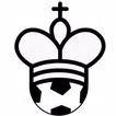 Chess Football basic  APK