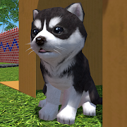 Cute Pocket Puppy 3D - Part 2  APK