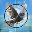 Bird Hunting: Duck Hunter Game  APK