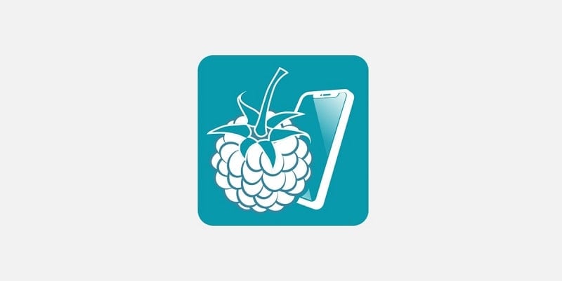 RaspController  APK