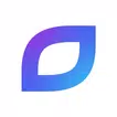 Itransition App  APK
