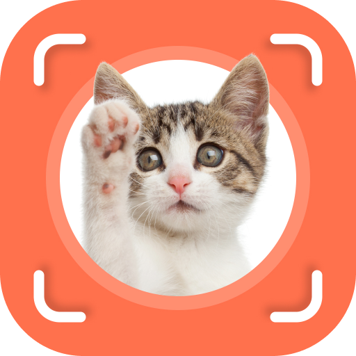 Cat Identifier - Cat Scanner APK