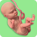 Mom Pregnancy Games: Mom Care APK