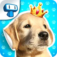 My Dog Album APK