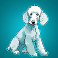 Bedlington Terrier Rescue  APK