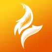 Flixfox HD Pro Video Player  APK