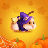 Hamster Maze  APK