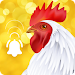 Animal Ringtone - Birds Sound APK