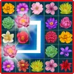 Onet Blossom  APK