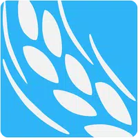 The Table 4.0  APK