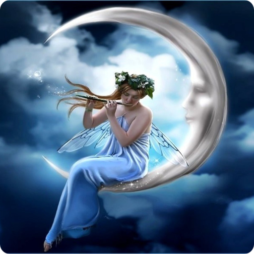 Fairy Wonderful Puzzle  APK