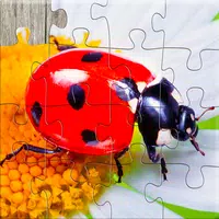 Insect Jigsaw Puzzle Game Kids  APK