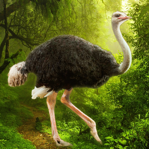 The Ostrich  APK