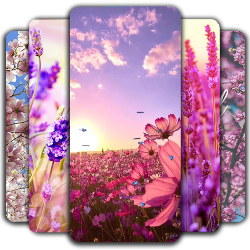 Spring Wallpaper  APK
