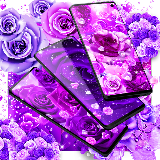 Purple rose live wallpaper  APK