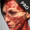 Action Anatomy Pro  APK
