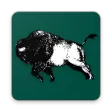 Technozon Installer APK