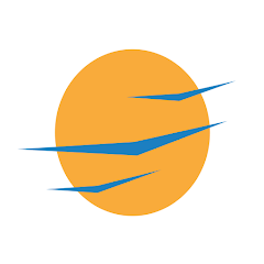 TDS Driver APK