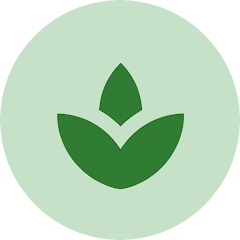 Momento Zen APK