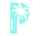 PalmIce APK