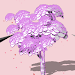 Tangled Paths APK