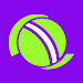 Football Pundit Score Live APK