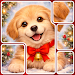 Found You Jigsaw APK