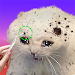 Cat Salon: Makeover ASMR APK