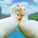 Duck Family Bird Life Sim  APK