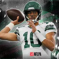 Football Head Coach 26 NFL PA APK