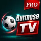 Burmese tv pro apk APK