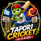 Tapori Cricket APK