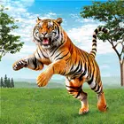 Wild Tiger 3D Animal Simulator APK